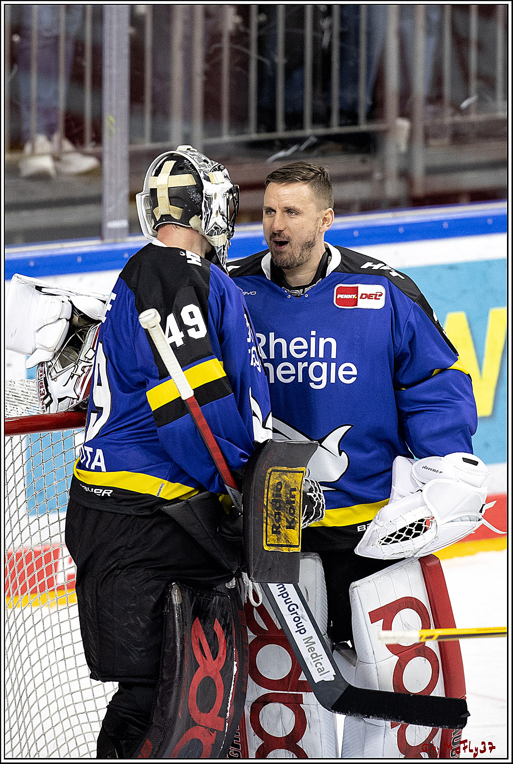 PENNY DEL;  Koelner Haie - Grizzlys Wolfsburg; Koeln, 25.11.2021